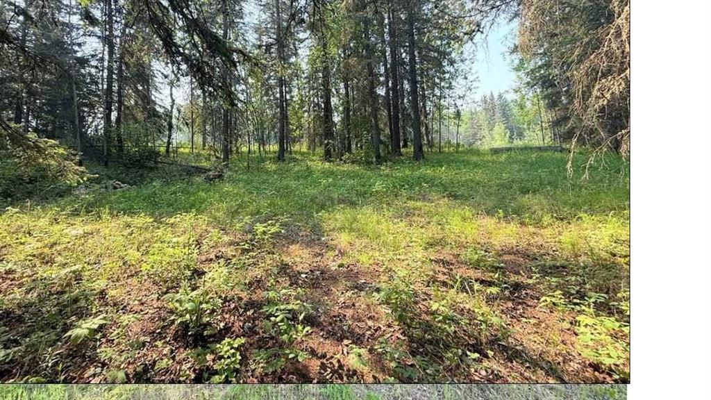  Residential Land for Sale, MLS® # A2234230