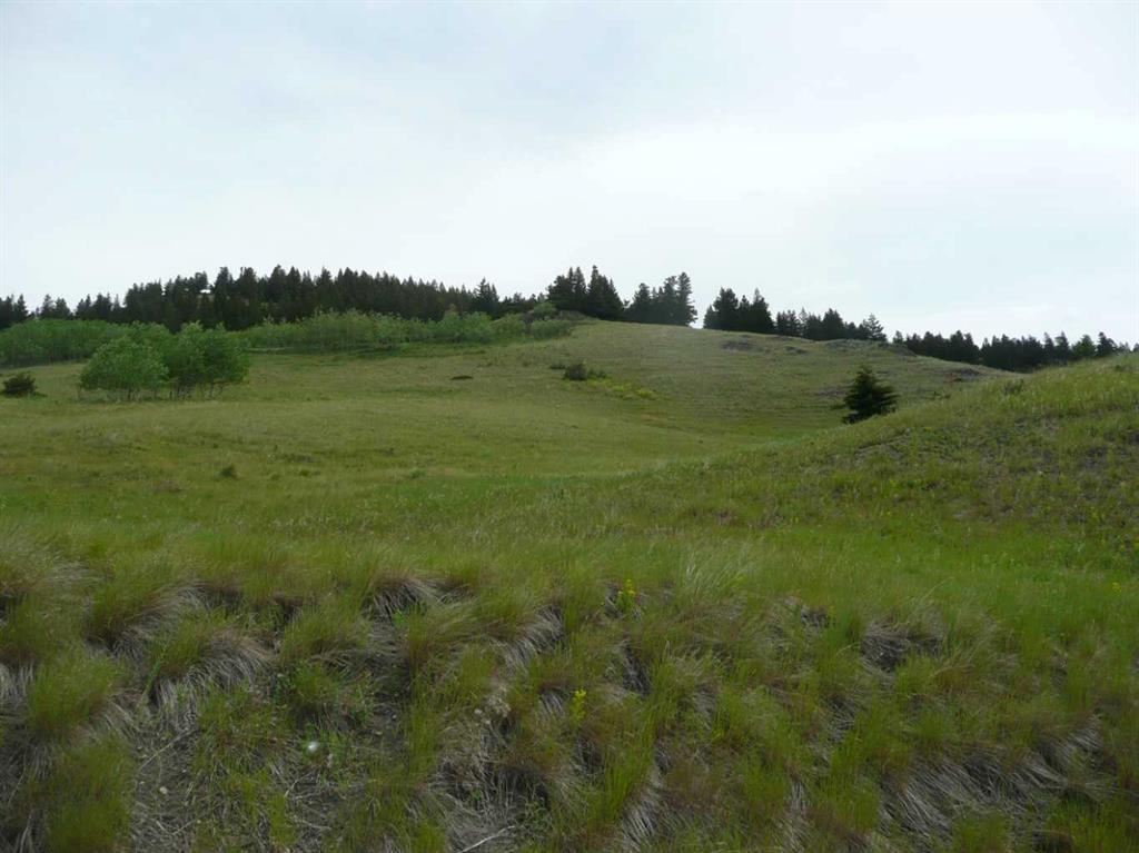 2211 89 Street, Coleman, MLS® # A2237183