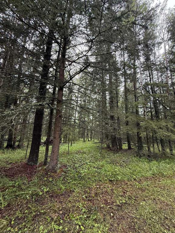  Residential Land for Sale, MLS® # A2241681