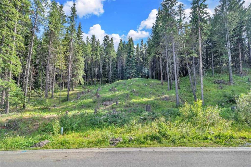 262 Southmore Place, Blairmore, MLS® # A2245659