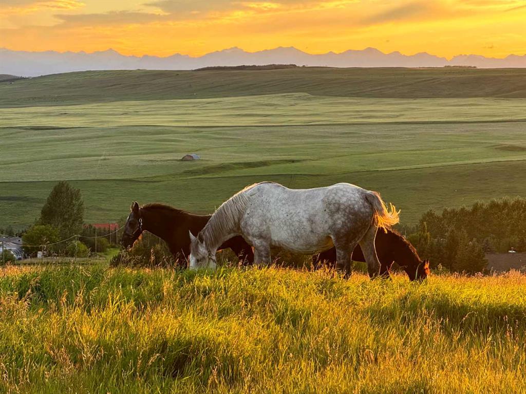 418066 48 Street, Rural Foothills County, MLS® # A2251193