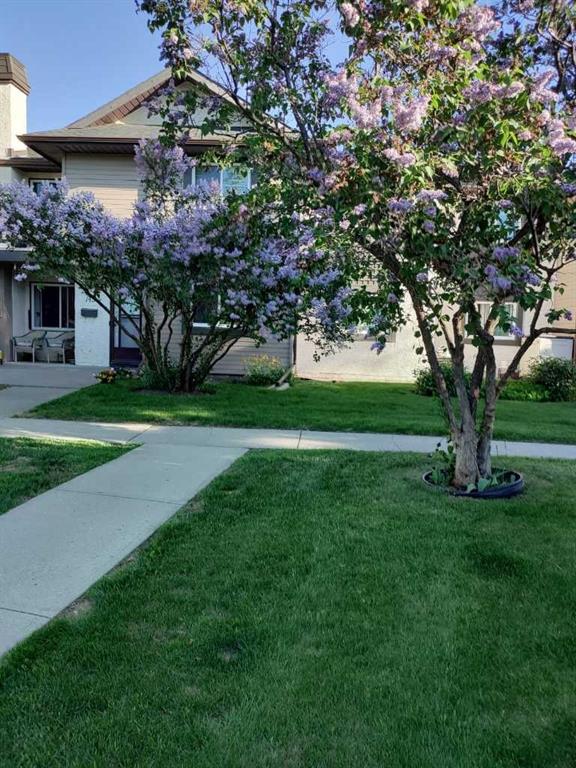 141 Cedar Springs Gardens, Calgary, MLS® # A2289426