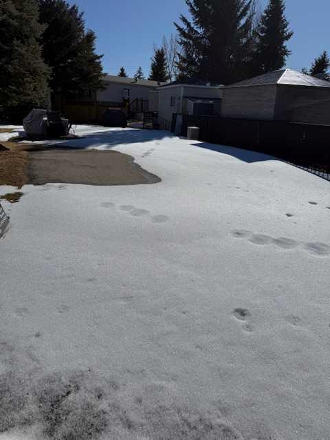  Recreational Property for Sale, MLS® # A2292257