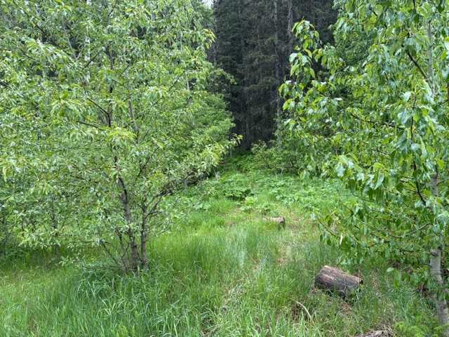229 Mountain Lion Drive, Bragg Creek, MLS® # A2319927