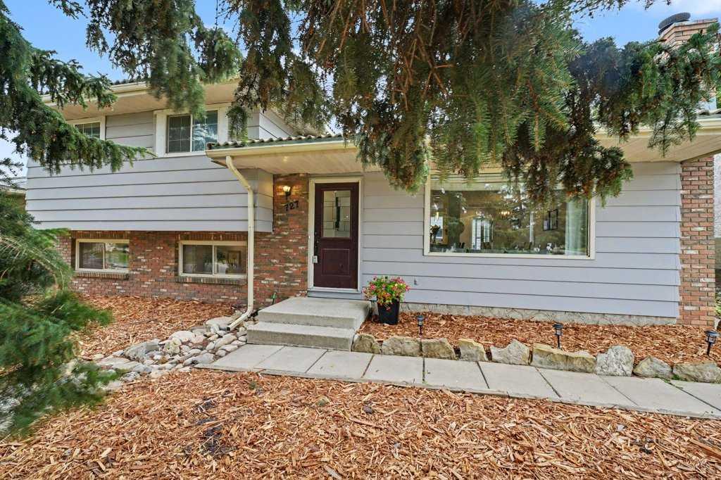 Real Estate Listing MLS A2335651