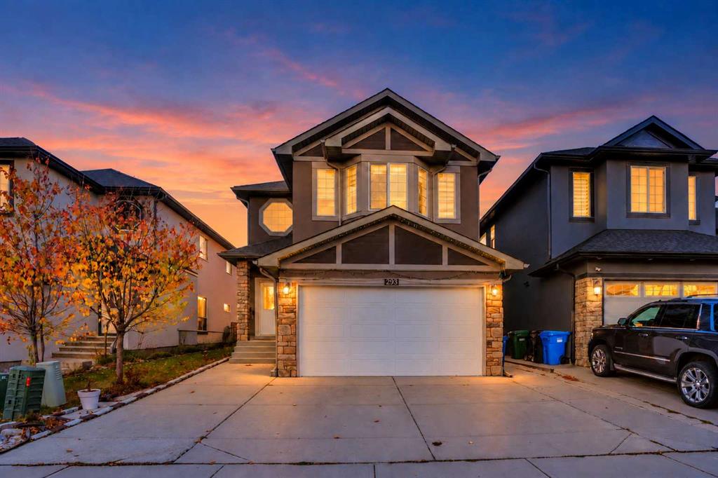 293 Saddlelake Drive, Calgary, MLS® # A2352967