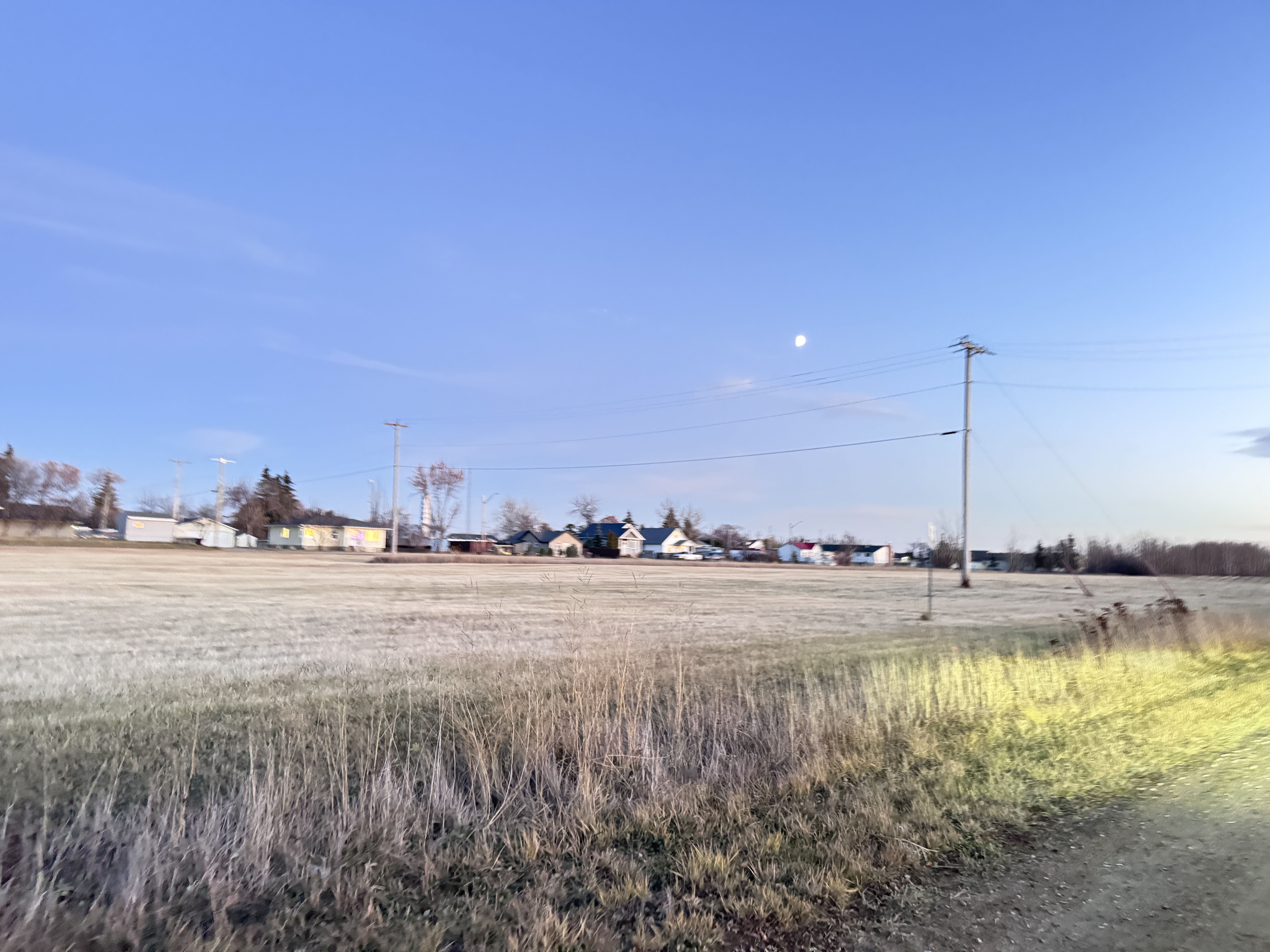 Property for Sale, MLS® # 43689975