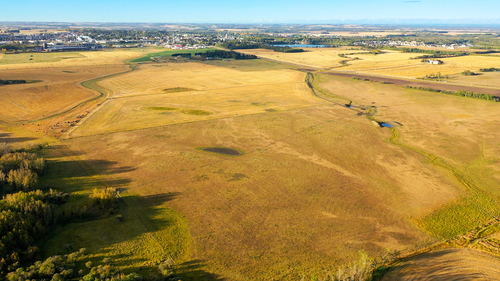 Property for Sale, MLS® # 43690088