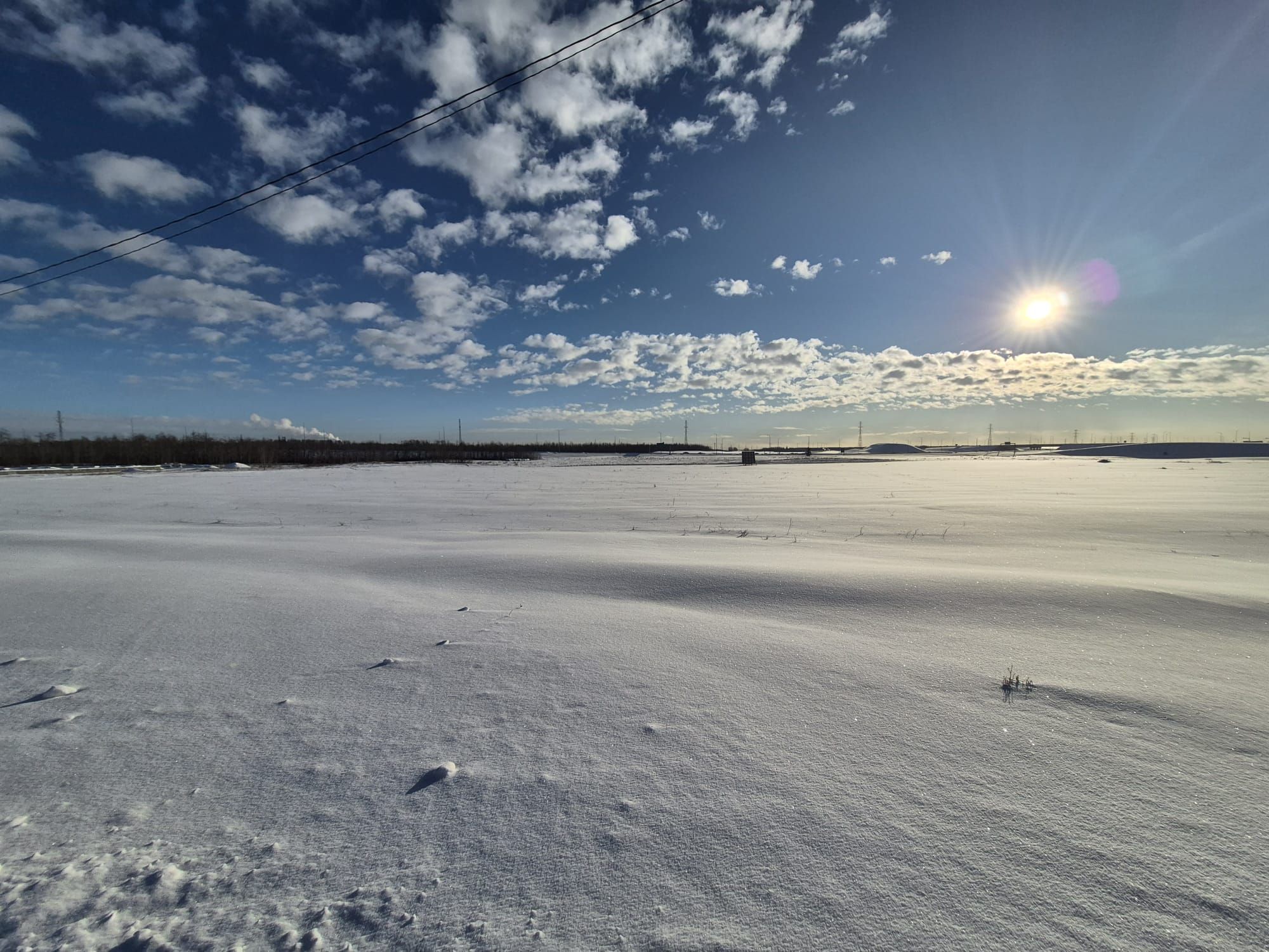 Property for Sale, MLS® # 44071606