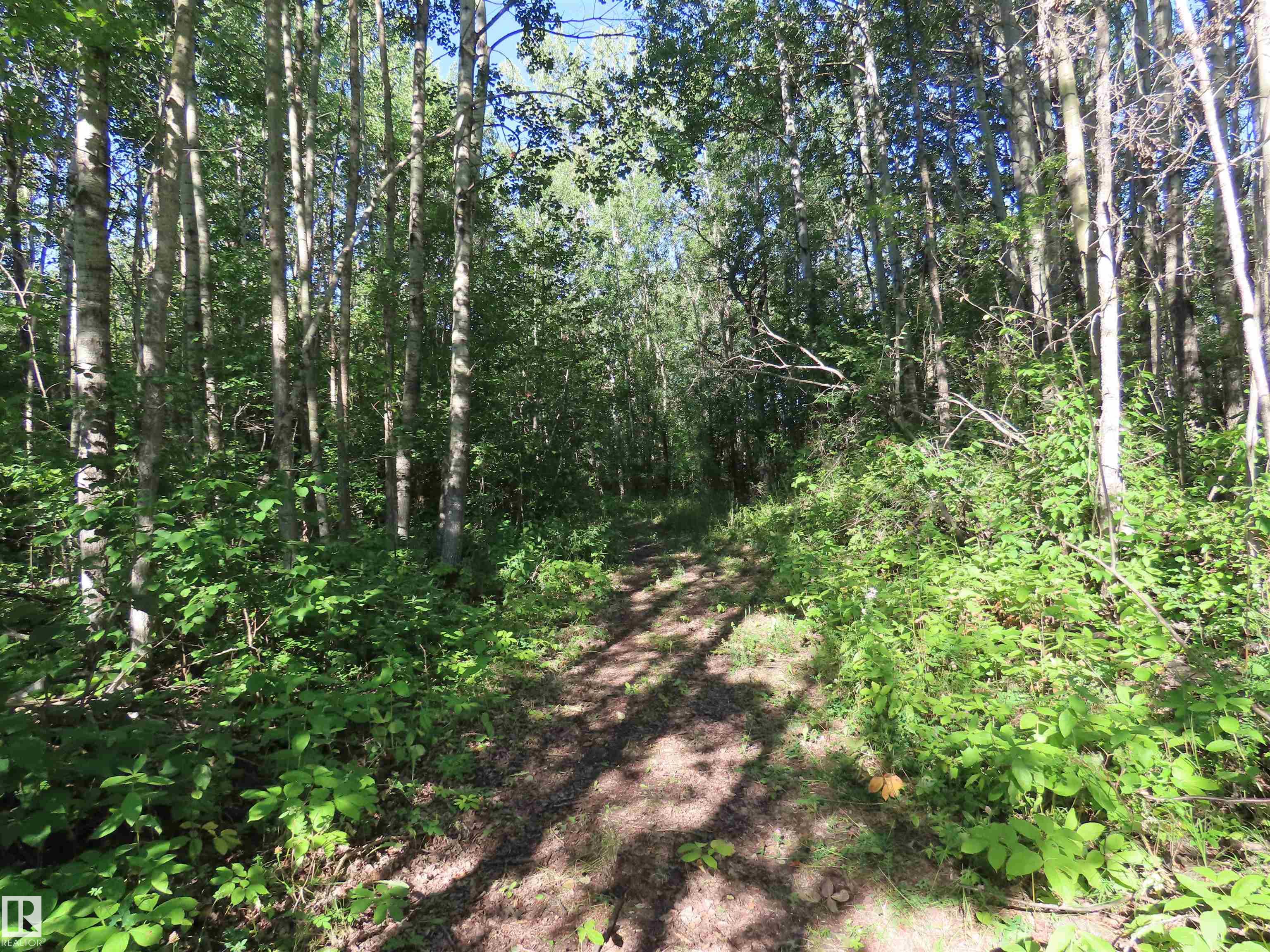  Vacant Lot/Land for Sale, MLS® # E4451409