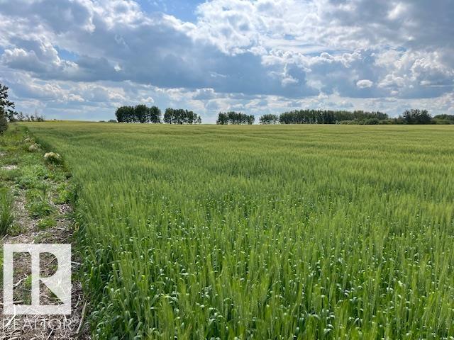  Vacant Lot/Land for Sale, MLS® # E4451494