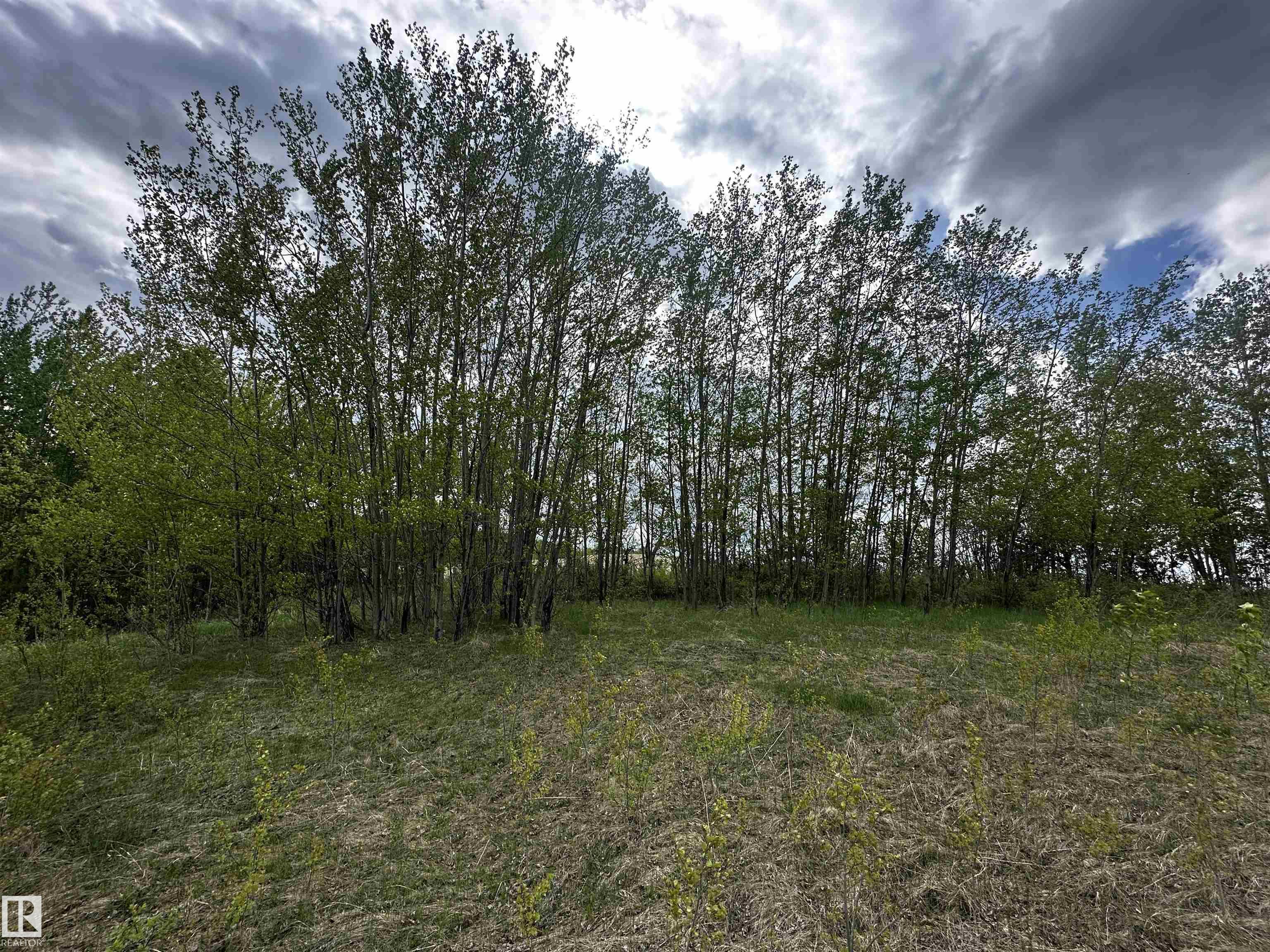  Vacant Lot/Land for Sale, MLS® # E4453504