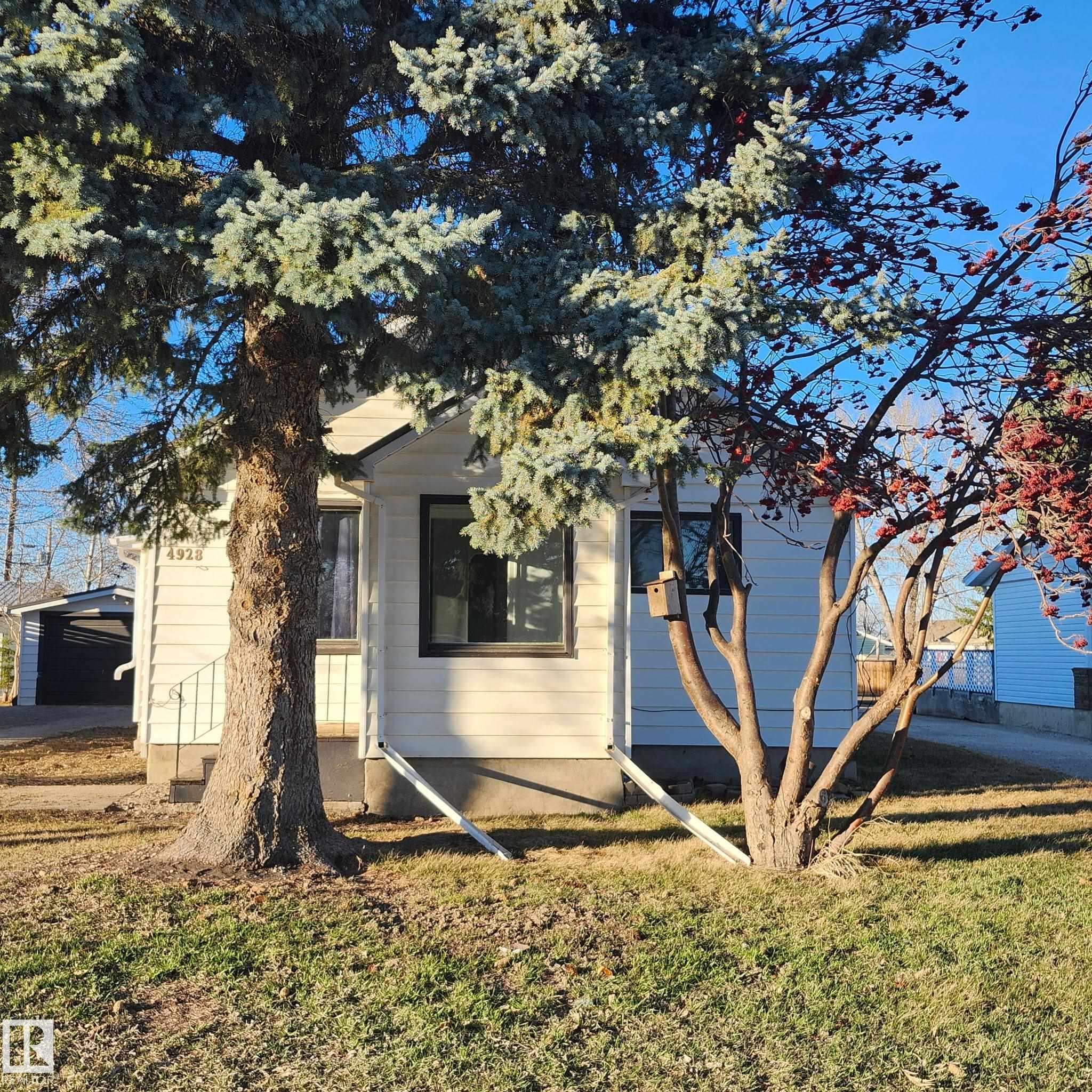 4928 55 Avenue, Viking, MLS® # E4457028