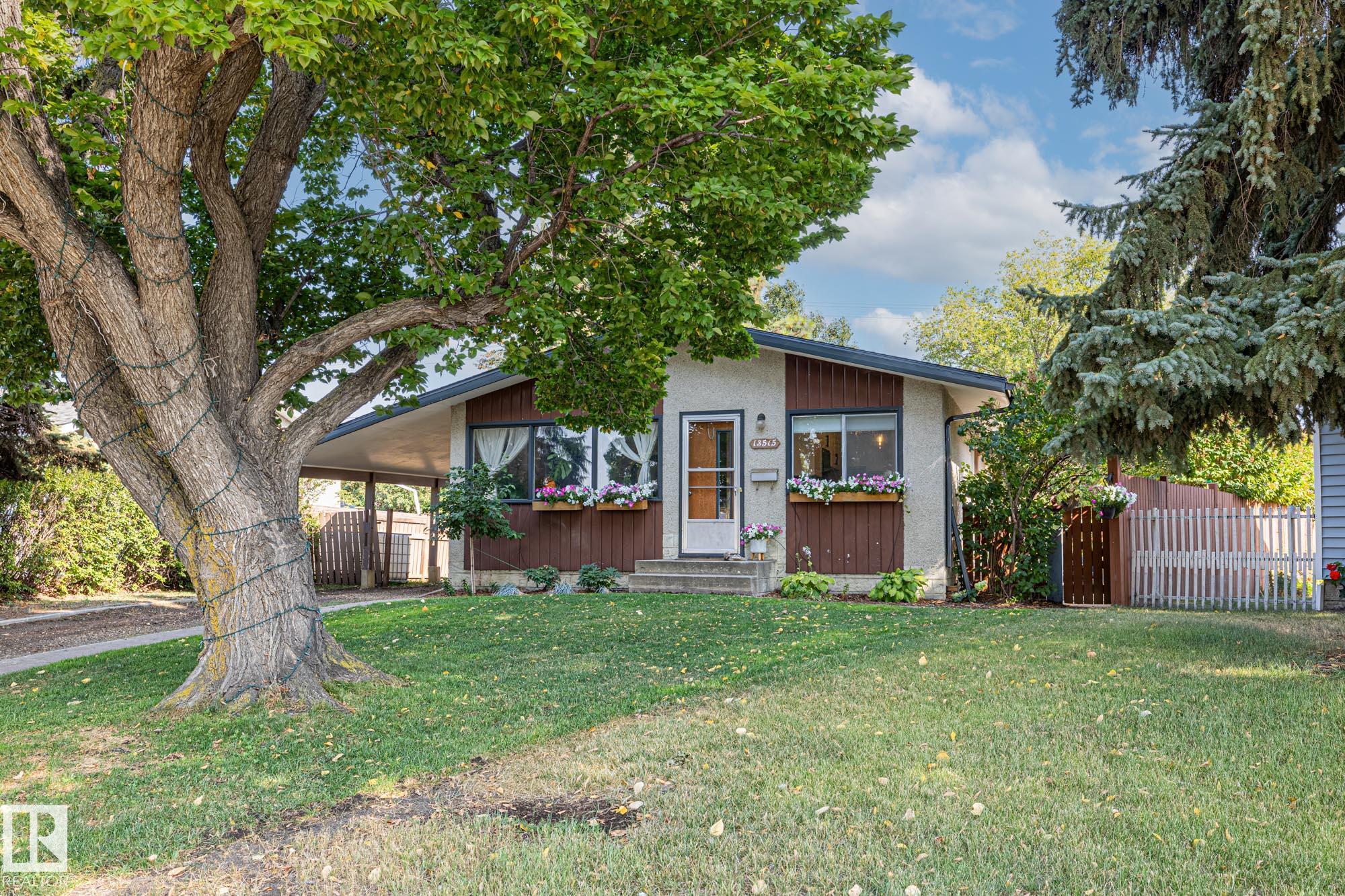13515 124 Street, Edmonton, MLS® # E4458093