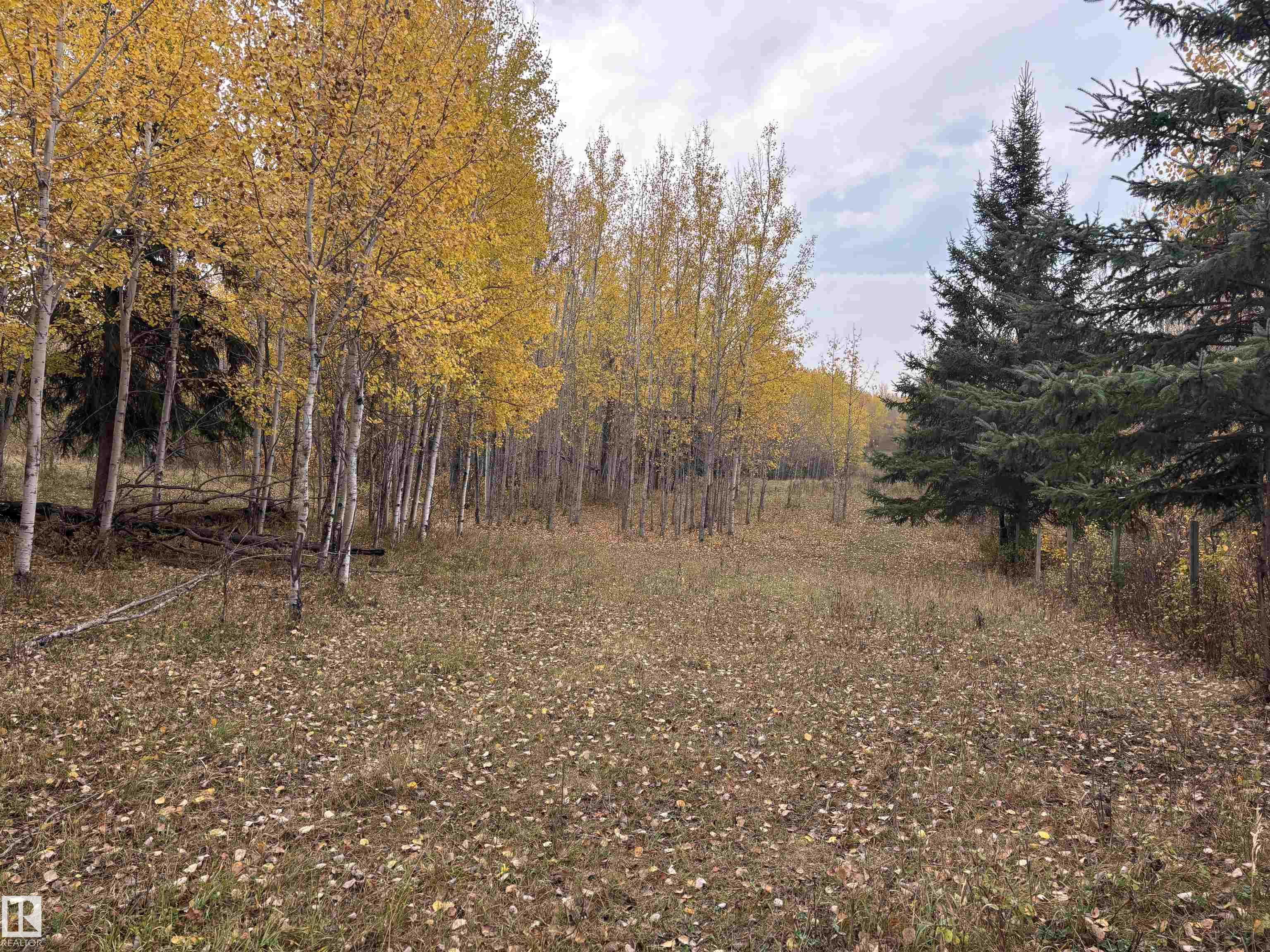  Vacant Lot/Land for Sale, MLS® # E4460262
