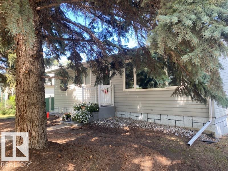 4828 52 Avenue, Viking, MLS® # E4460946