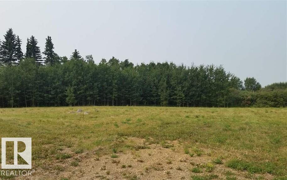 38 Falcon Drive, New Sarepta, MLS® # E4471291