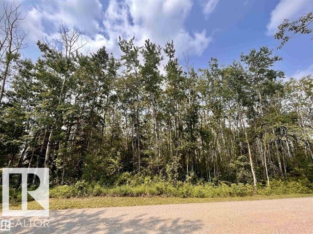  Vacant Lot/Land for Sale, MLS® # E4471817