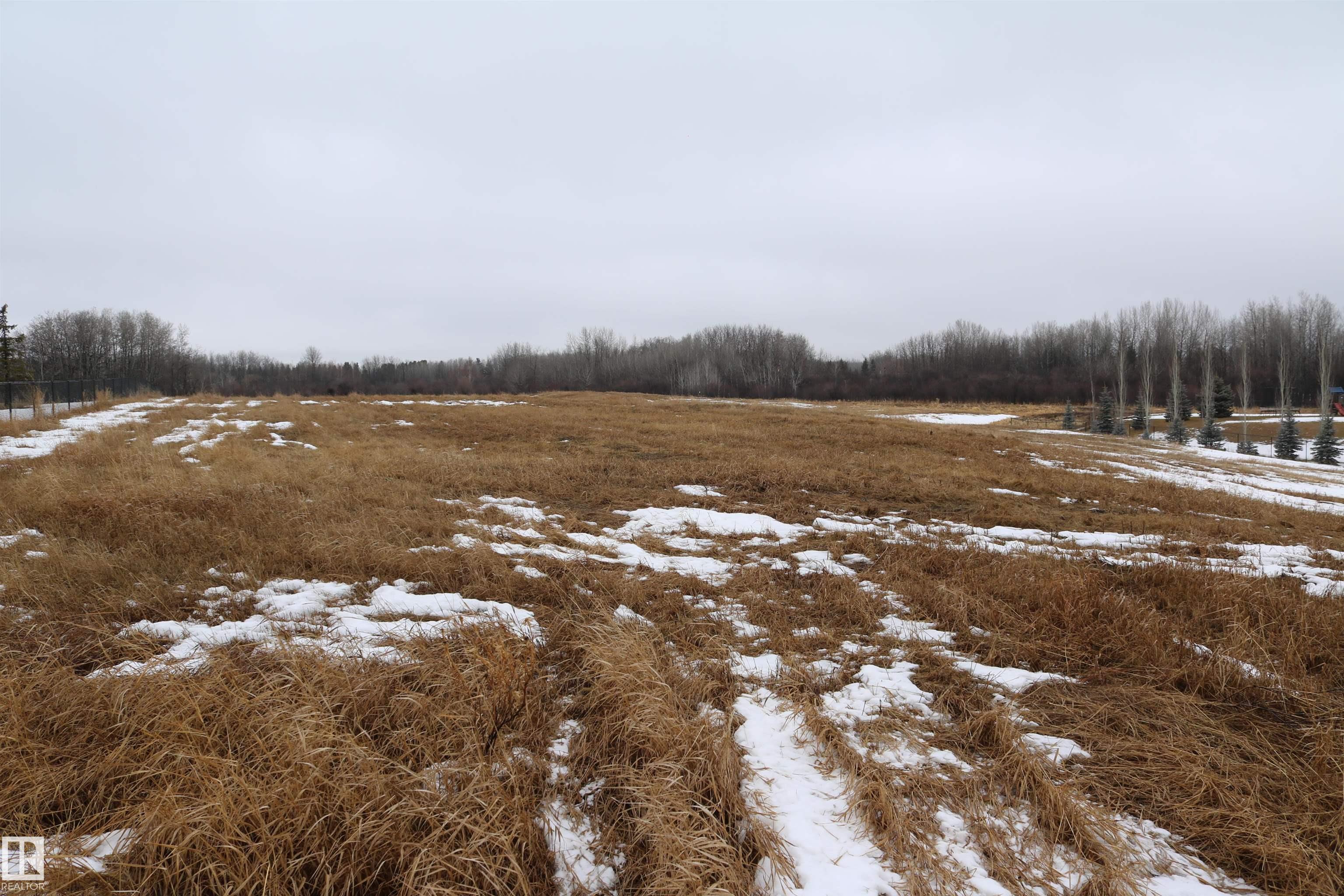  Vacant Lot/Land for Sale, MLS® # E4478468