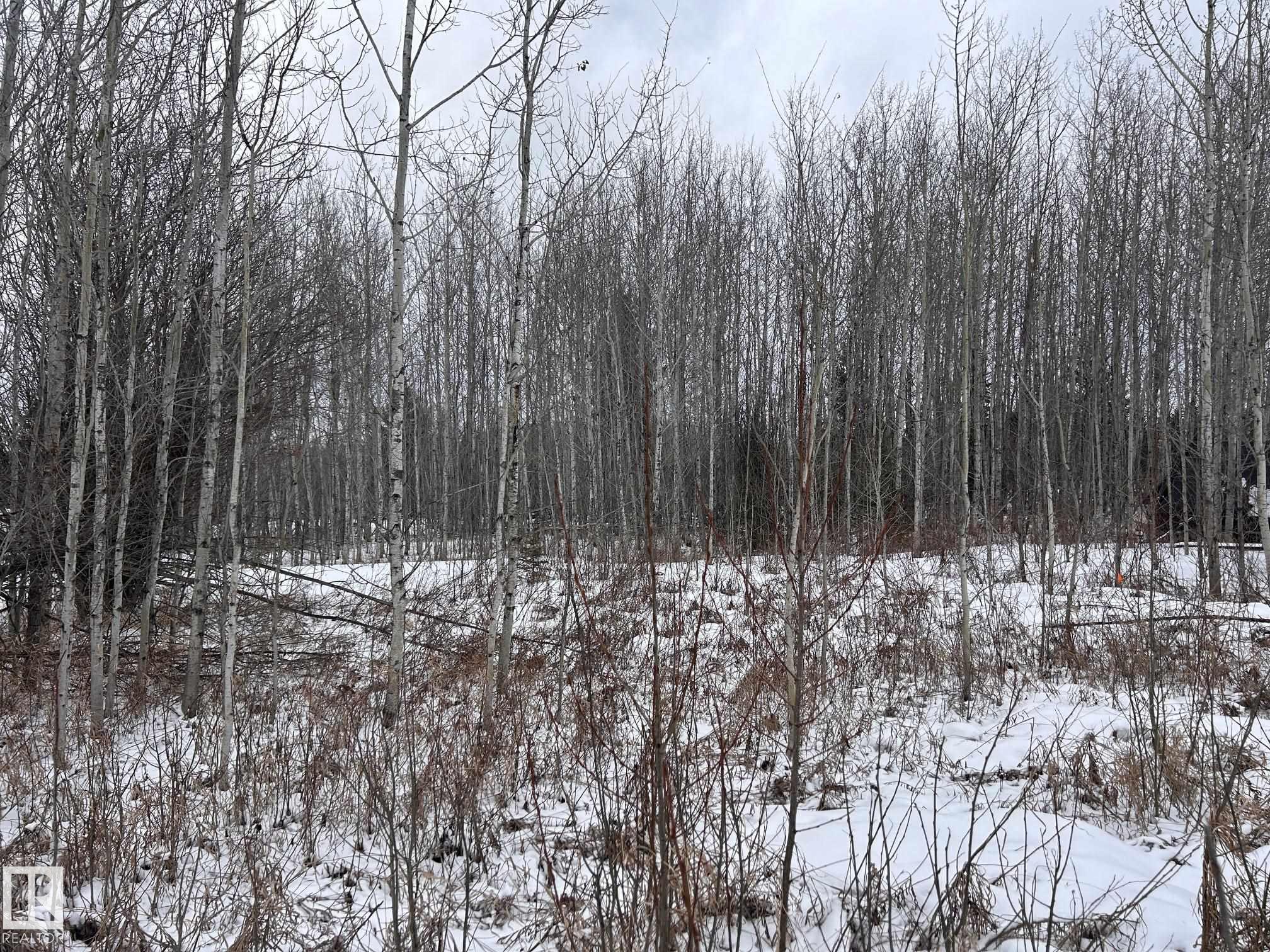  Vacant Lot/Land for Sale, MLS® # E4484192