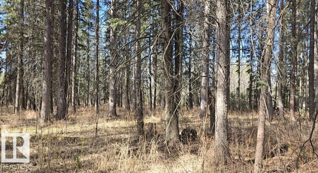 106 4 Street, Winfield, MLS® # E4487461