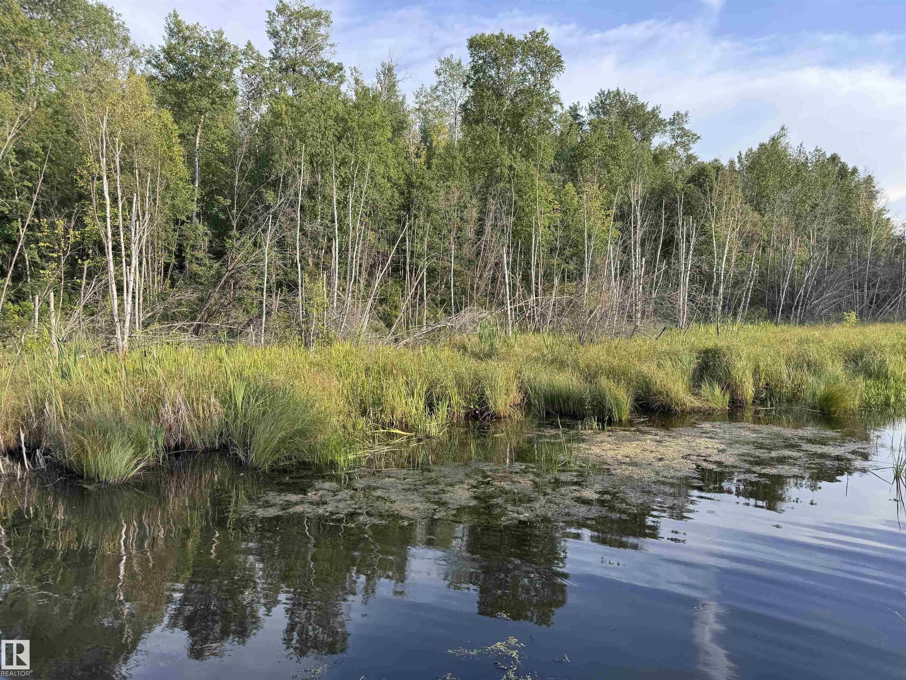  Vacant Lot/Land for Sale, MLS® # E4489128