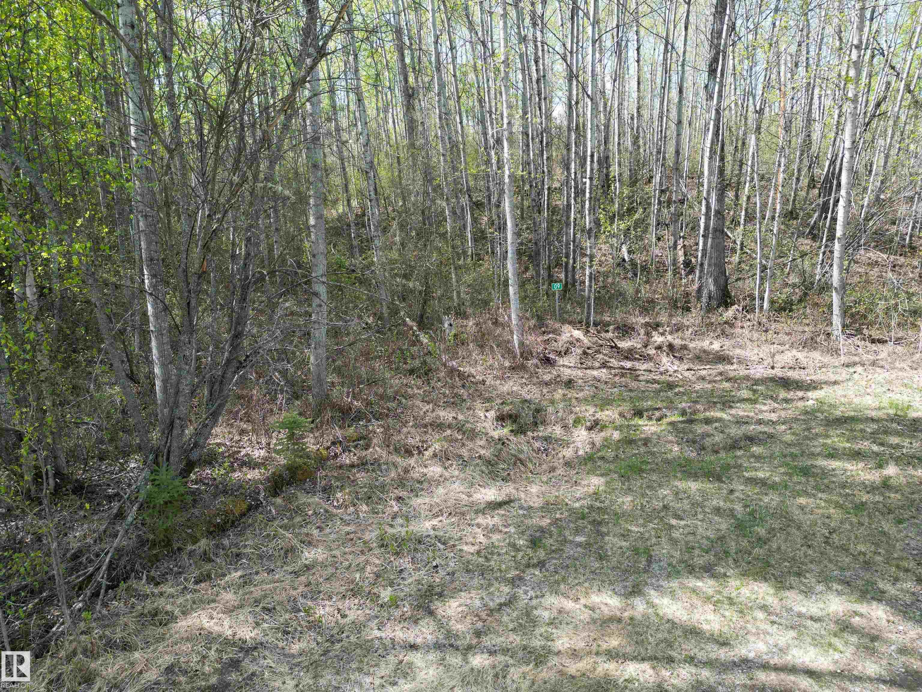  Vacant Lot/Land for Sale, MLS® # E4489599