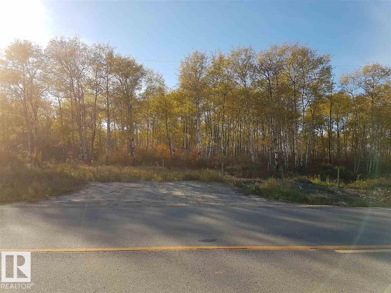  Vacant Lot/Land for Sale, MLS® # E4489948