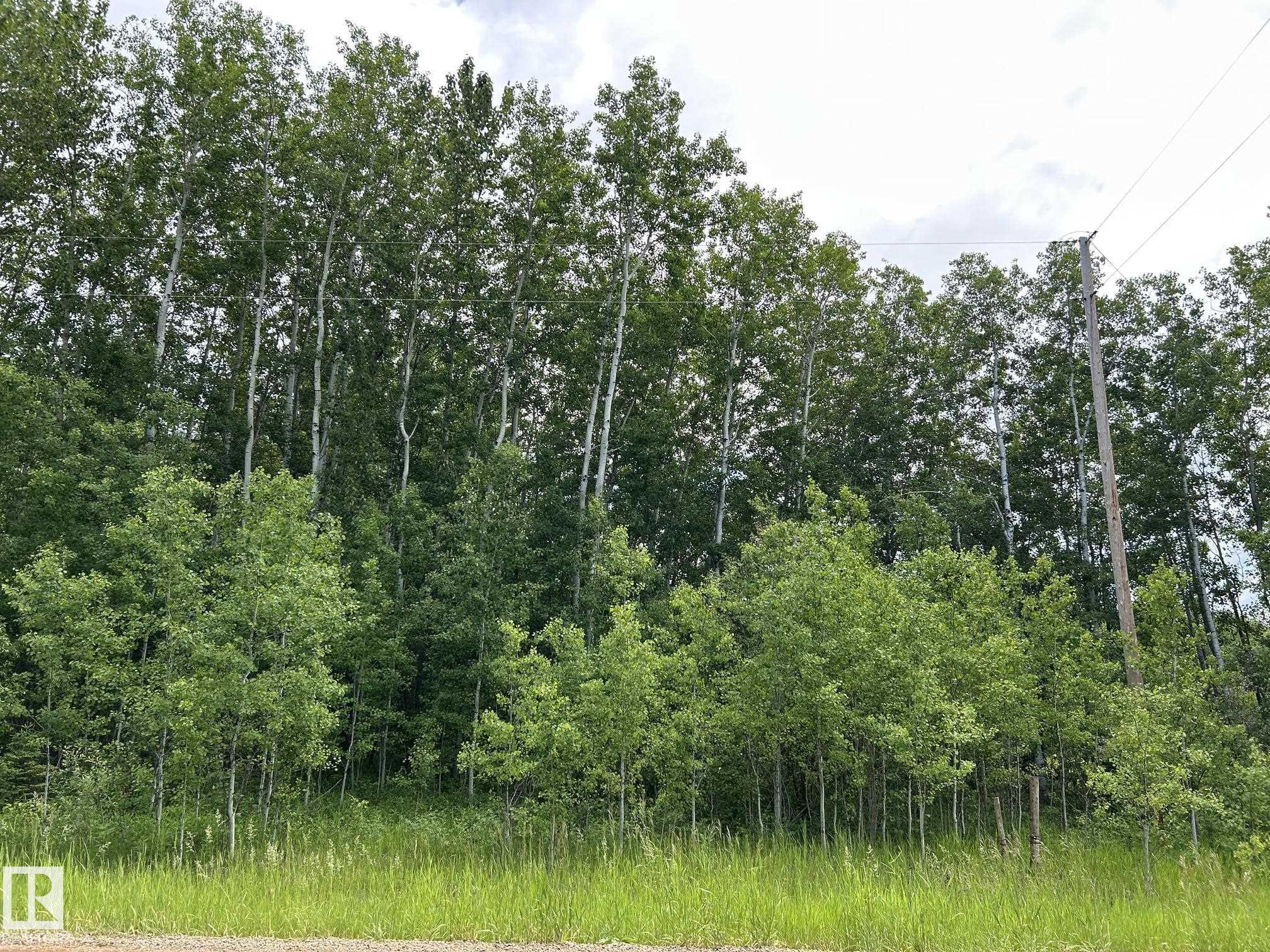  Vacant Lot/Land for Sale, MLS® # E4494542