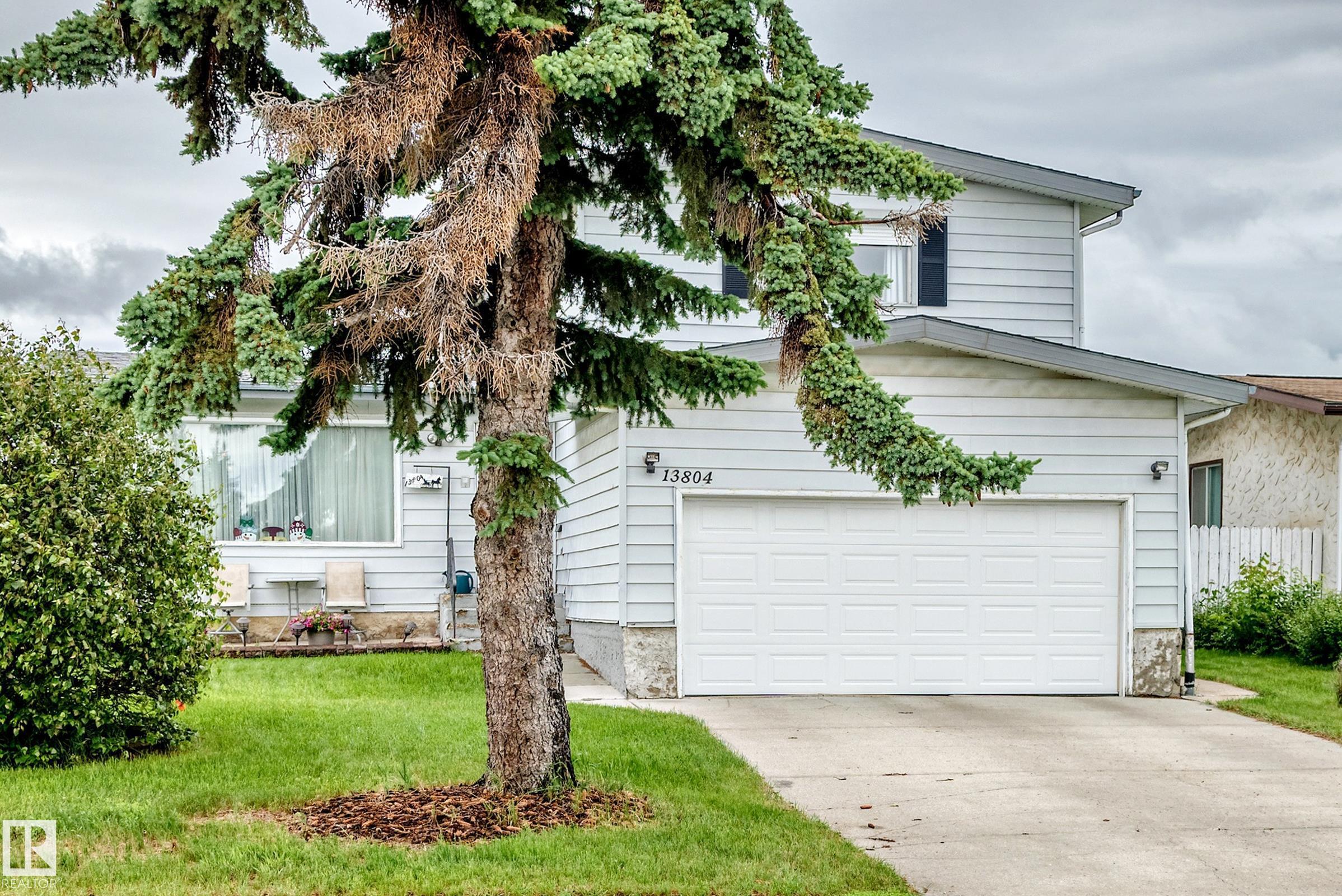 13804 87 Street, Edmonton, MLS® # E4495505