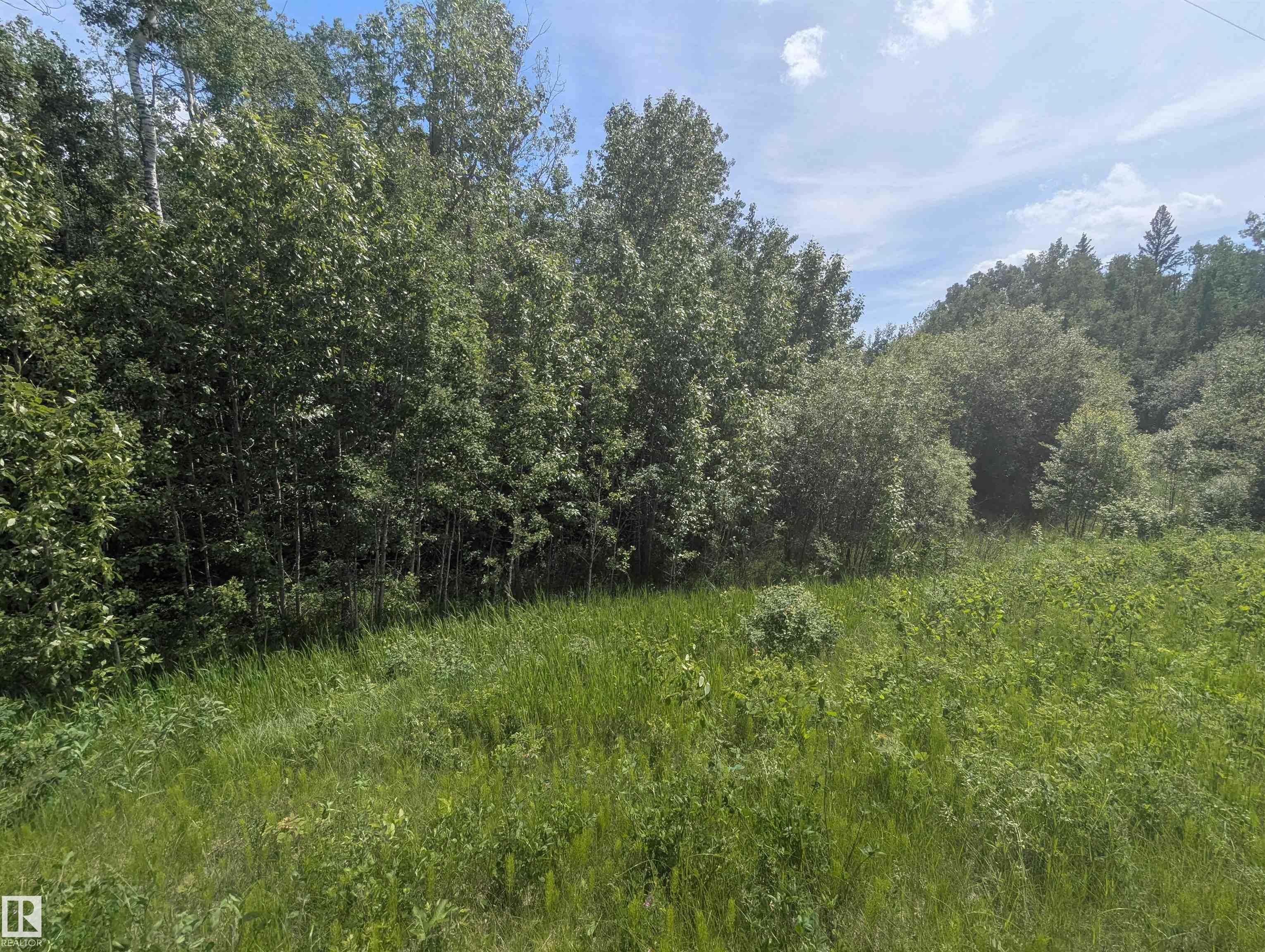  Vacant Lot/Land for Sale, MLS® # E4496664