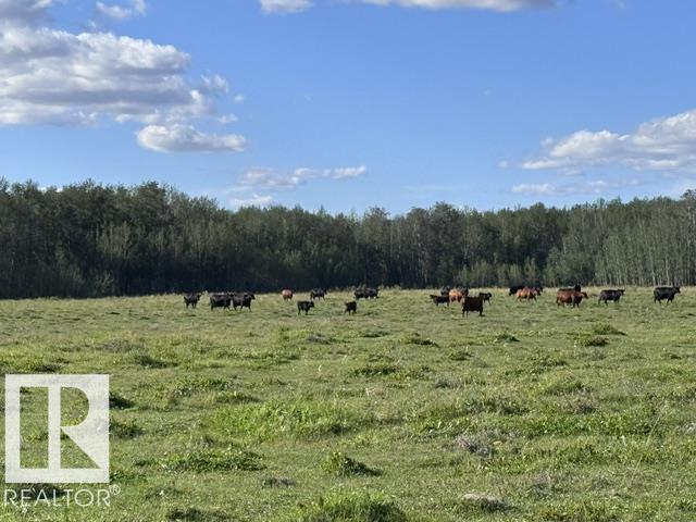  Vacant Lot/Land for Sale, MLS® # E4506669