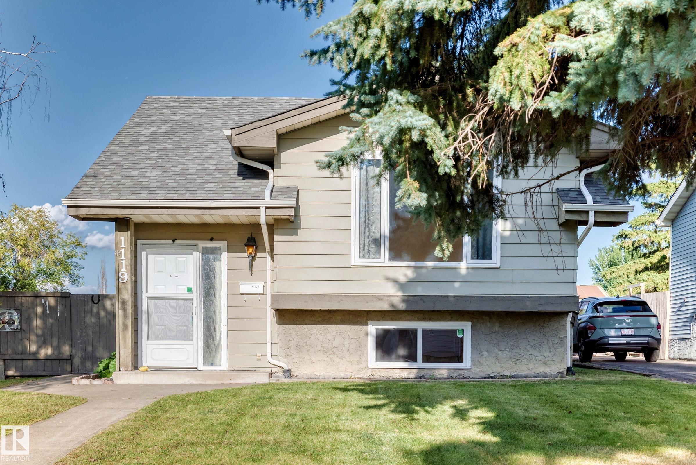 1119 38 Street, Edmonton, MLS® # E4507879