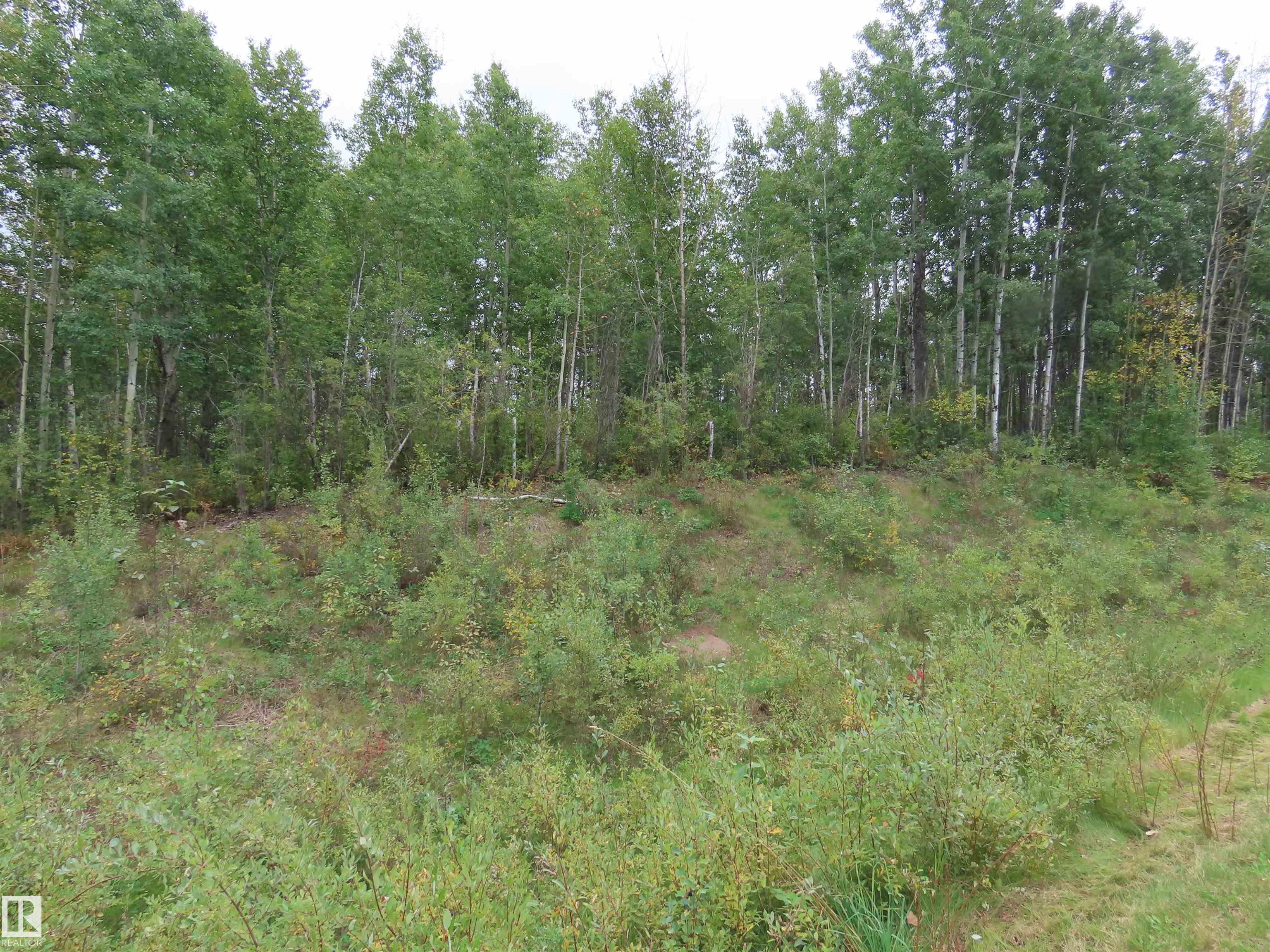  Vacant Lot/Land for Sale, MLS® # E4508911
