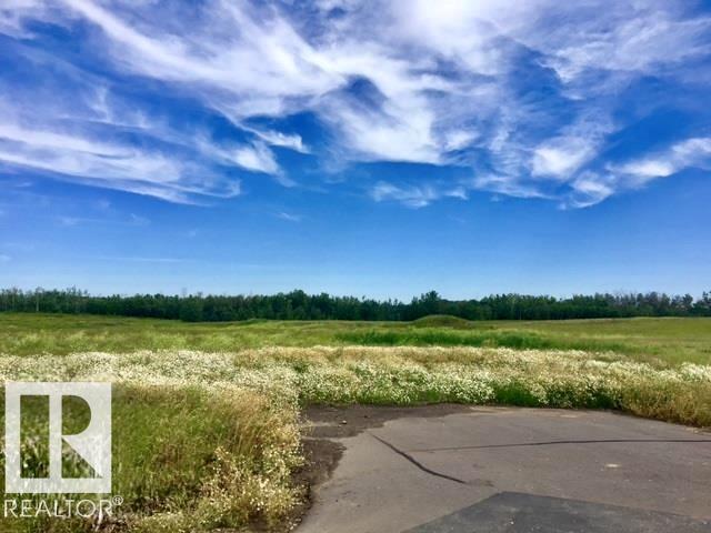  Vacant Lot/Land for Sale, MLS® # E4511898