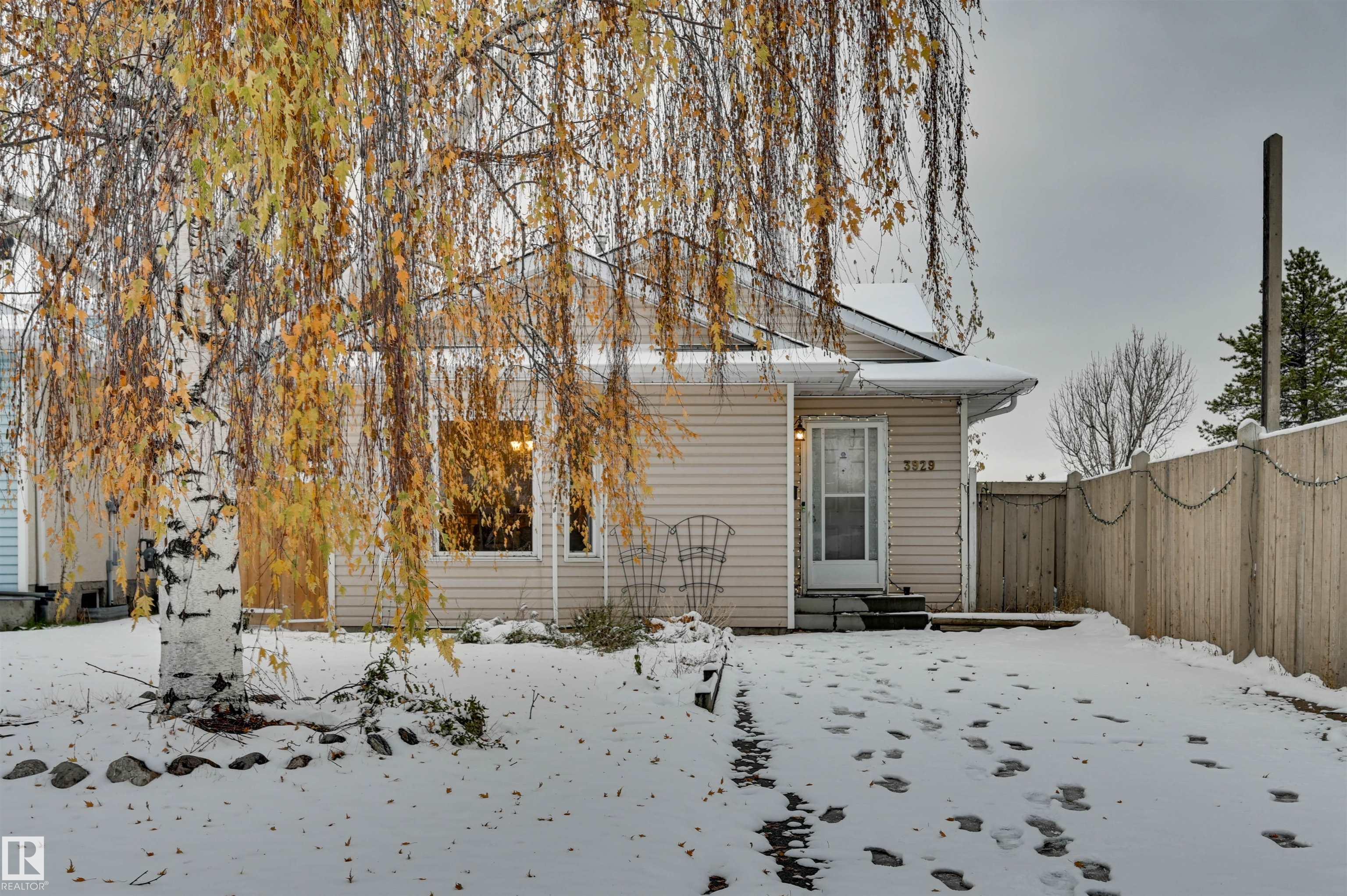 3929 25 Avenue, Edmonton, MLS® # E4514793