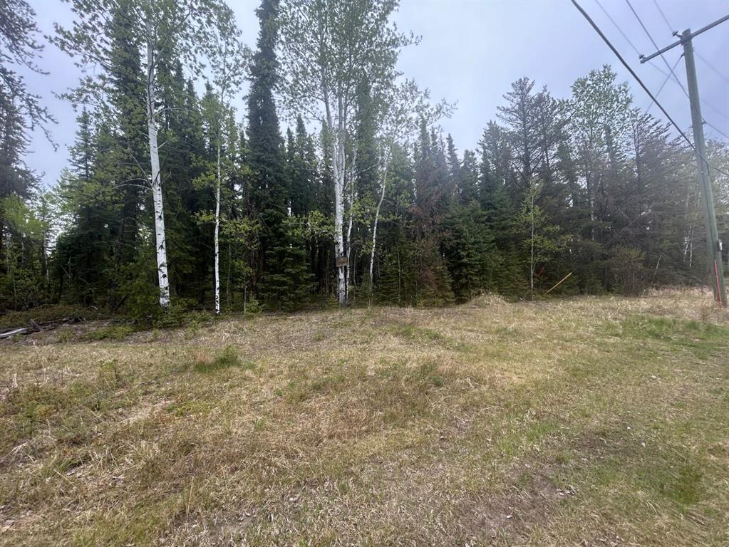172 Christina Lake Drive Rr, Conklin, MLS® # A2223050