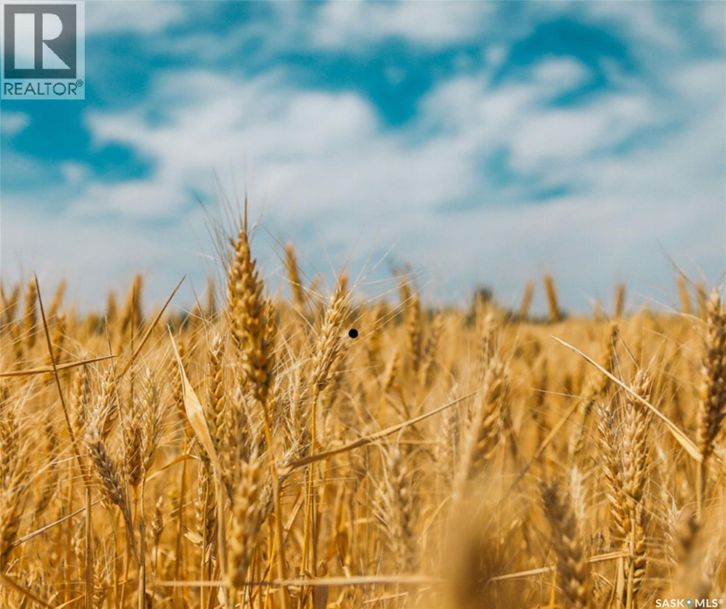 MLS® listing #28801009 for sale located at Konotopetz Quarter Farmland