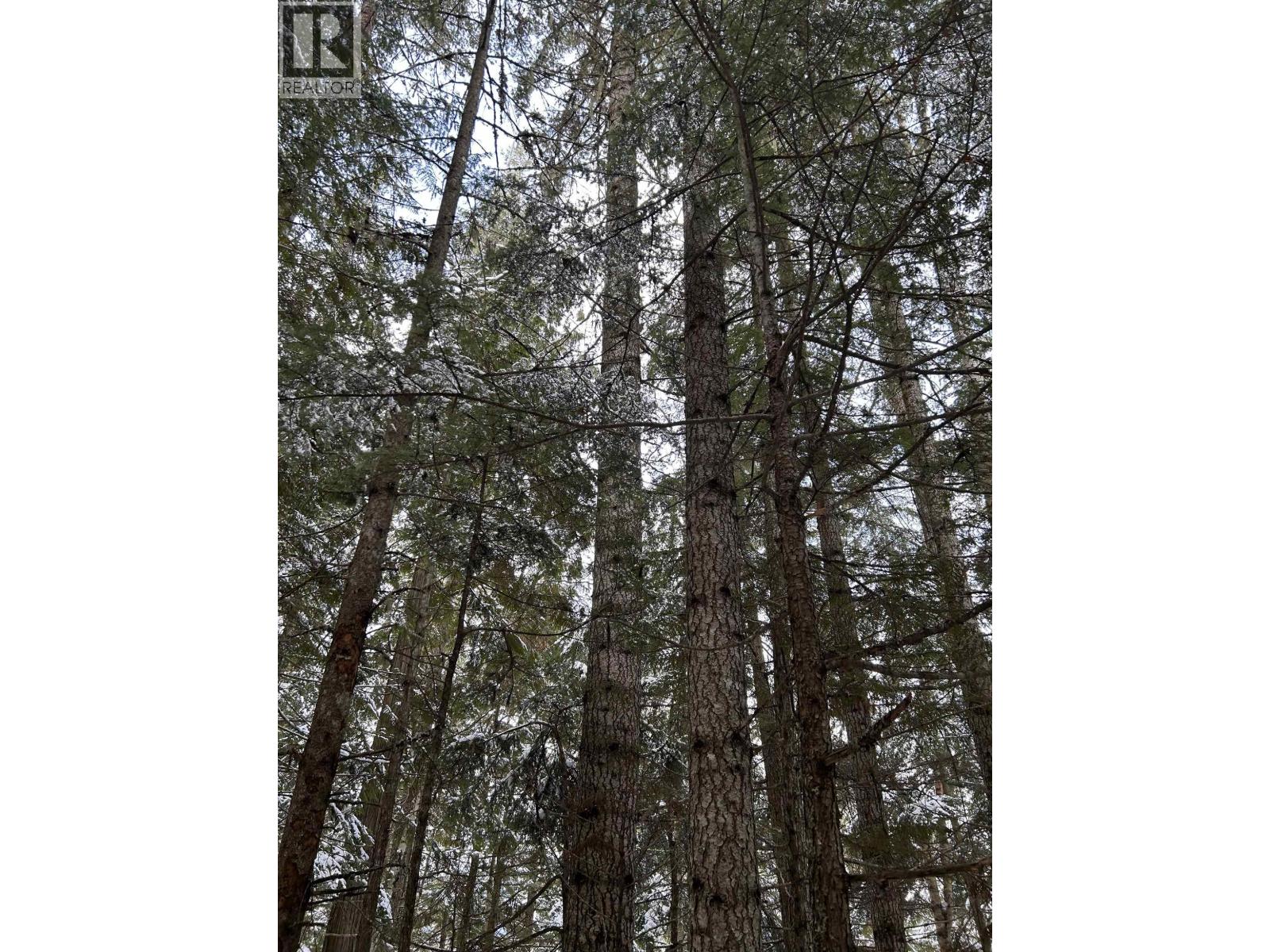MLS® listing #28919536 for sale located at DL 7054 W 16 HIGHWAY