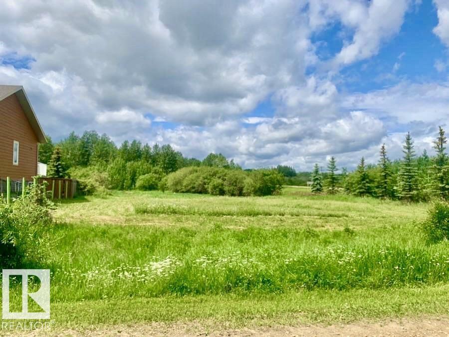 MLS® listing #29058455 for sale located at 433 SWEDBERG ST