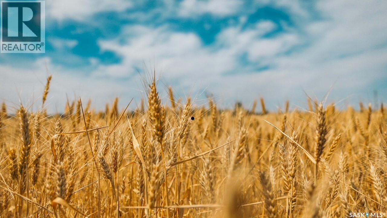 MLS® listing #29127299 for sale located at Lessmeister Quarter Section