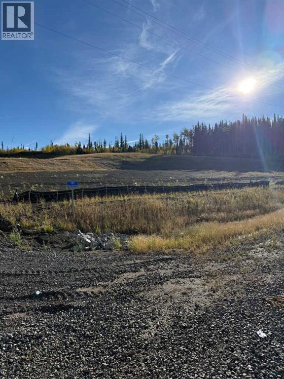 MLS® listing #29127643 for sale located at 101 Nordegg Industrial Crescent