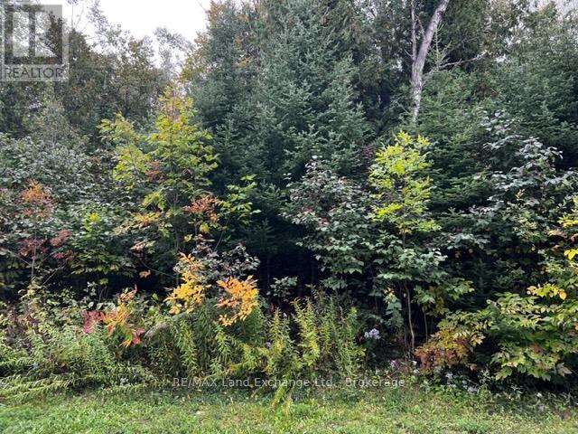 MLS® listing #29136257 for sale located at 4 SHORE ROAD