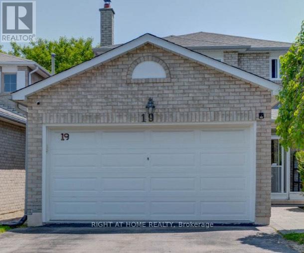 MLS® listing #29145335 for sale located at BASEMENT - 19 BINGHAM STREET