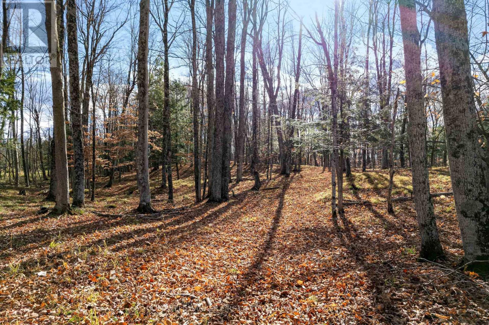 MLS® listing #29150233 for sale located at PT 2-00 HERRON MILLS ROAD