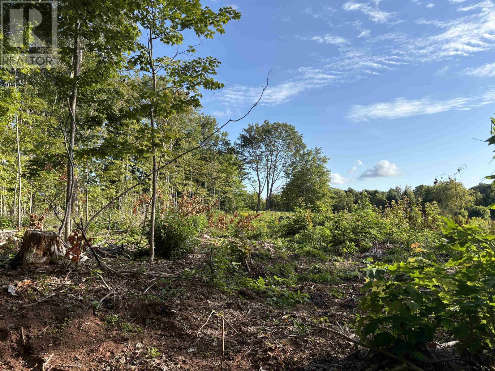 MLS® listing #29152068 for sale located at Lot 24-1 Lorabelle Court