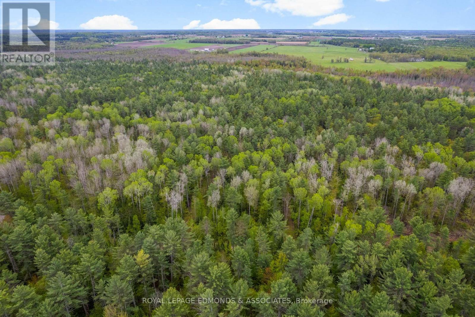 MLS® listing #29173639 for sale located at 0000 NANGOR TRAIL