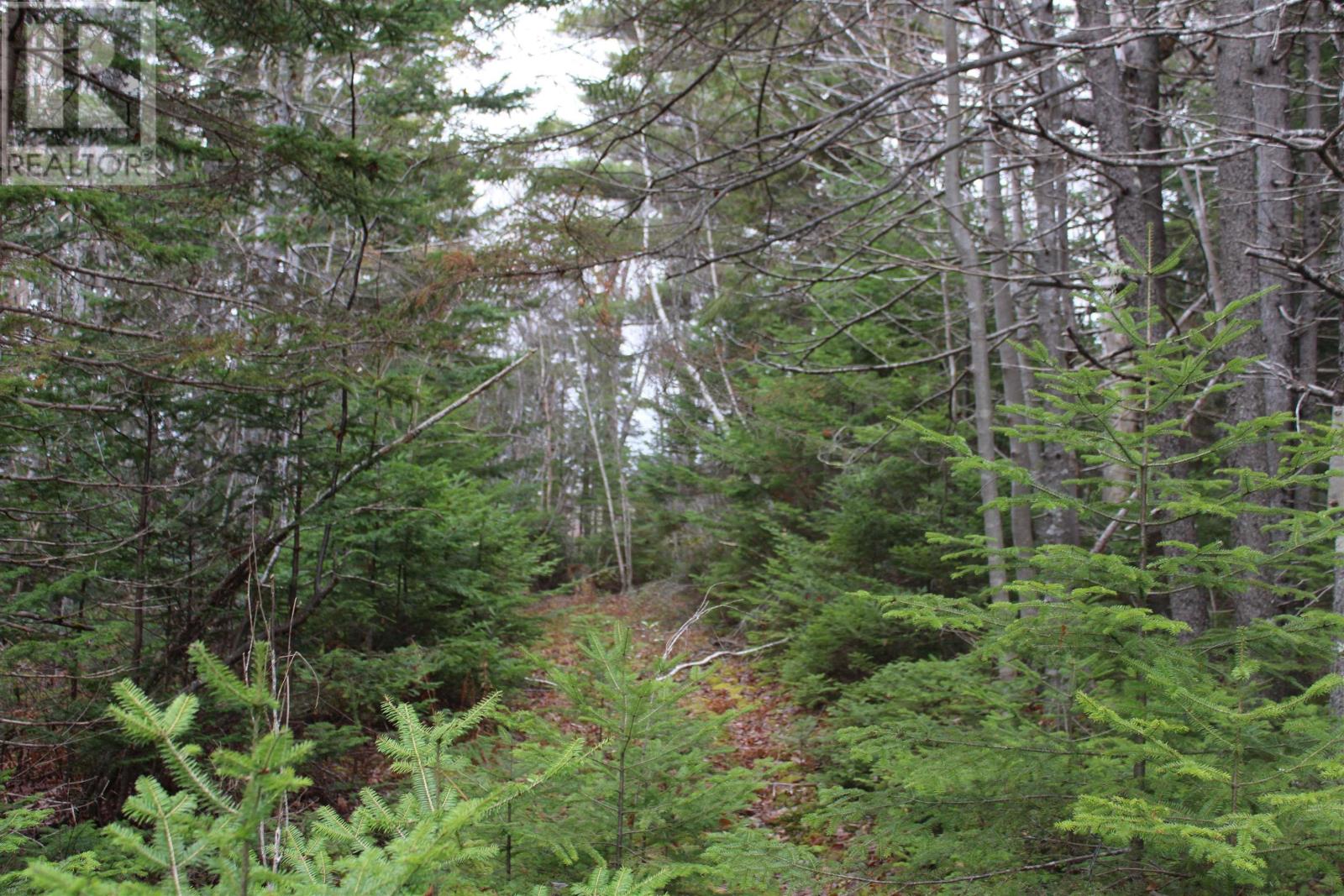 MLS® listing #29177559 for sale located at Lot Mirror Point Drive