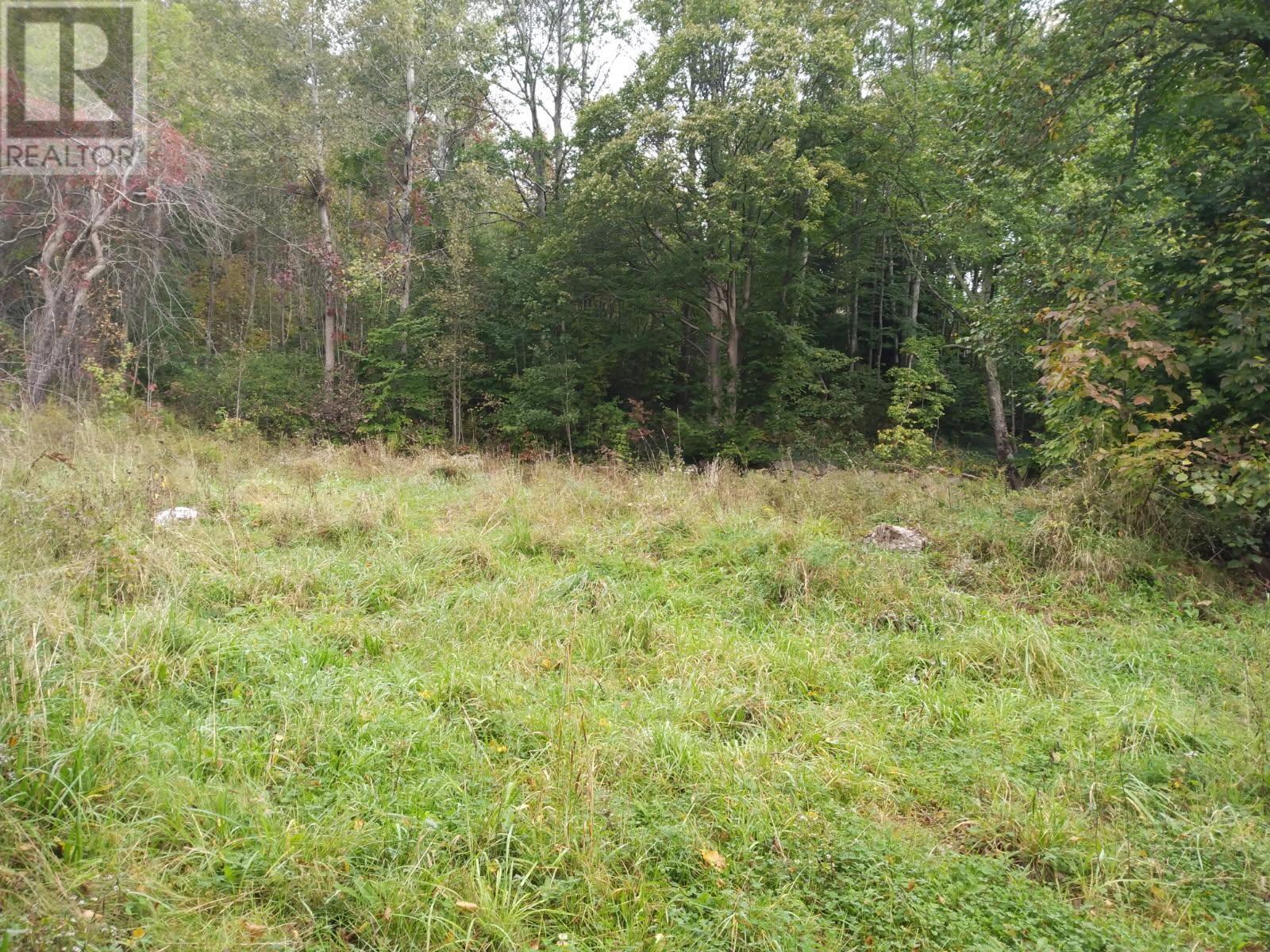 MLS® listing #29322255 for sale located at 793 Lahave Street