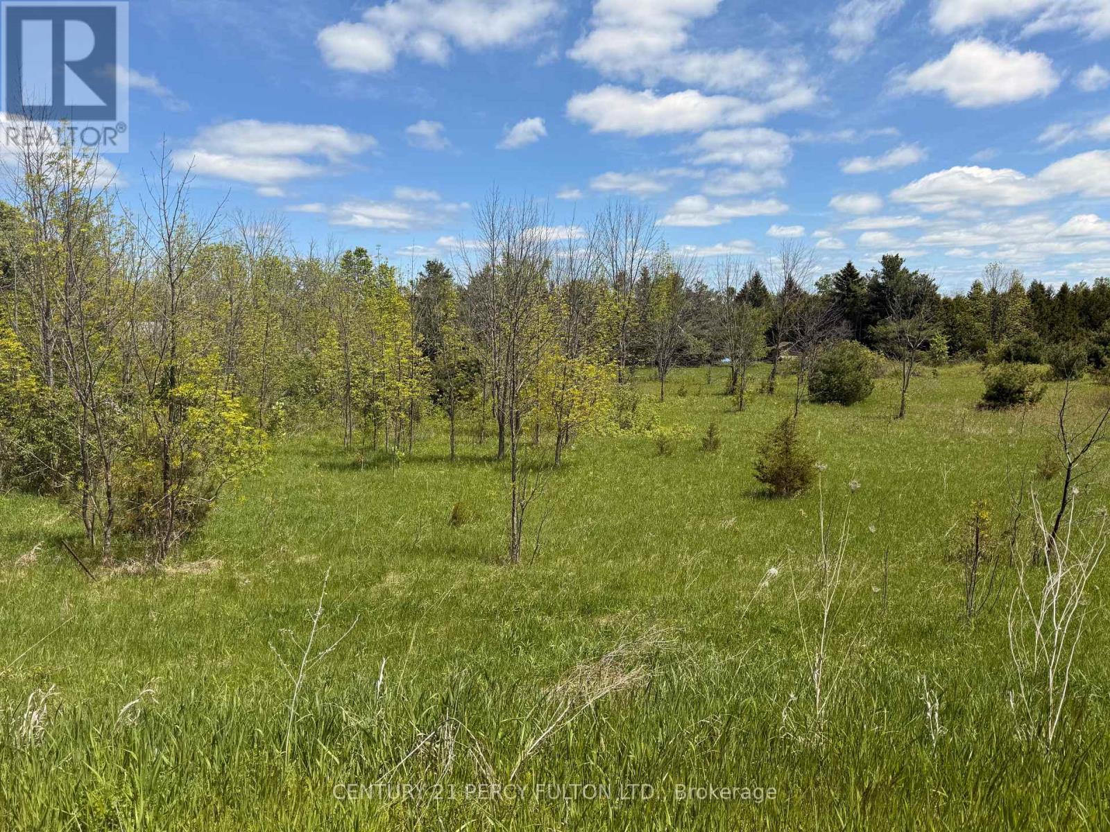 MLS® listing #29411813 for sale located at LOT 55, 56 &57 COUNTY RD 25